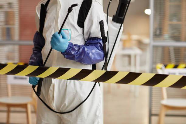 Professional Odor Removal technician working in Naples, ME